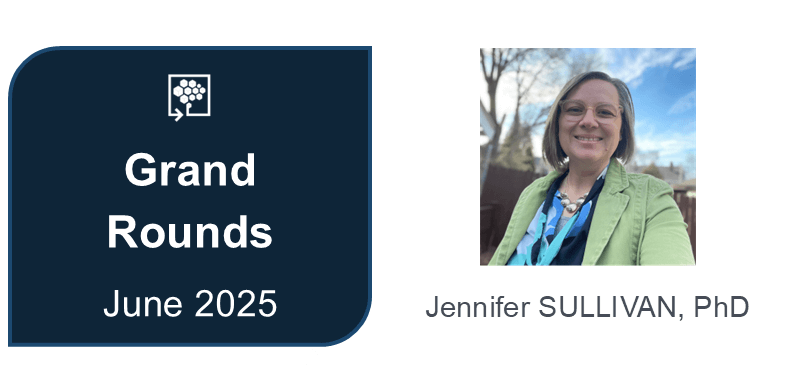 Meta Lessons Learned from Pilot and Demonstration Projects Implementation 