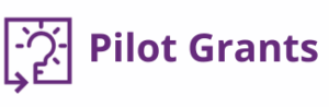Pilot Grants